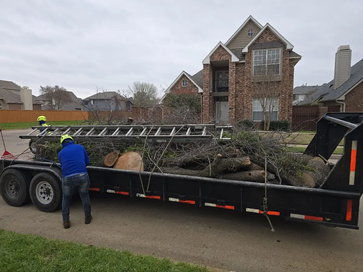 Expert Tree Removal with proper safety equipment in Potts Grove